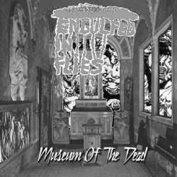 Museum of the Dead